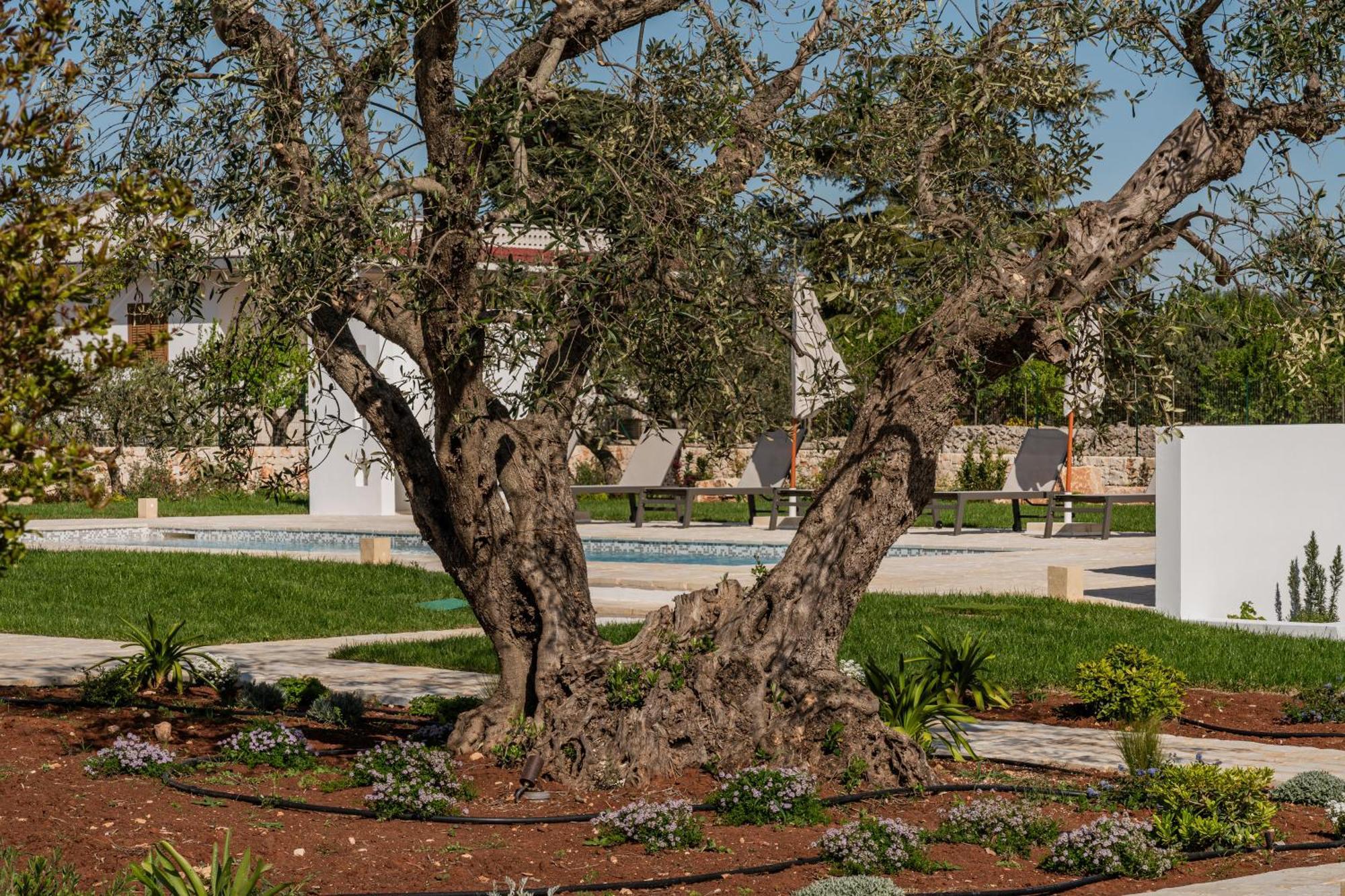 Trullo Jale - Boutique Apartments Остуни Екстериор снимка